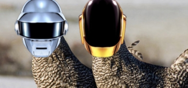 Daft Punk Get Clucky