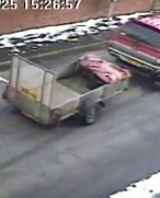 Fruit Thief CCTV